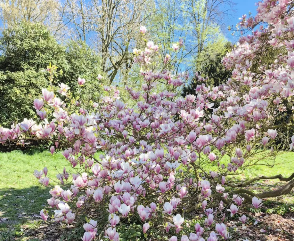 Condolence image of Christa Becker
