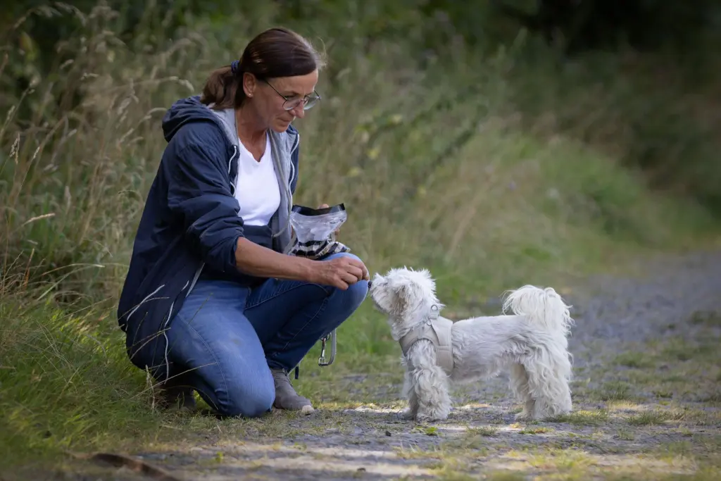Condolence image of Melanie Bektas