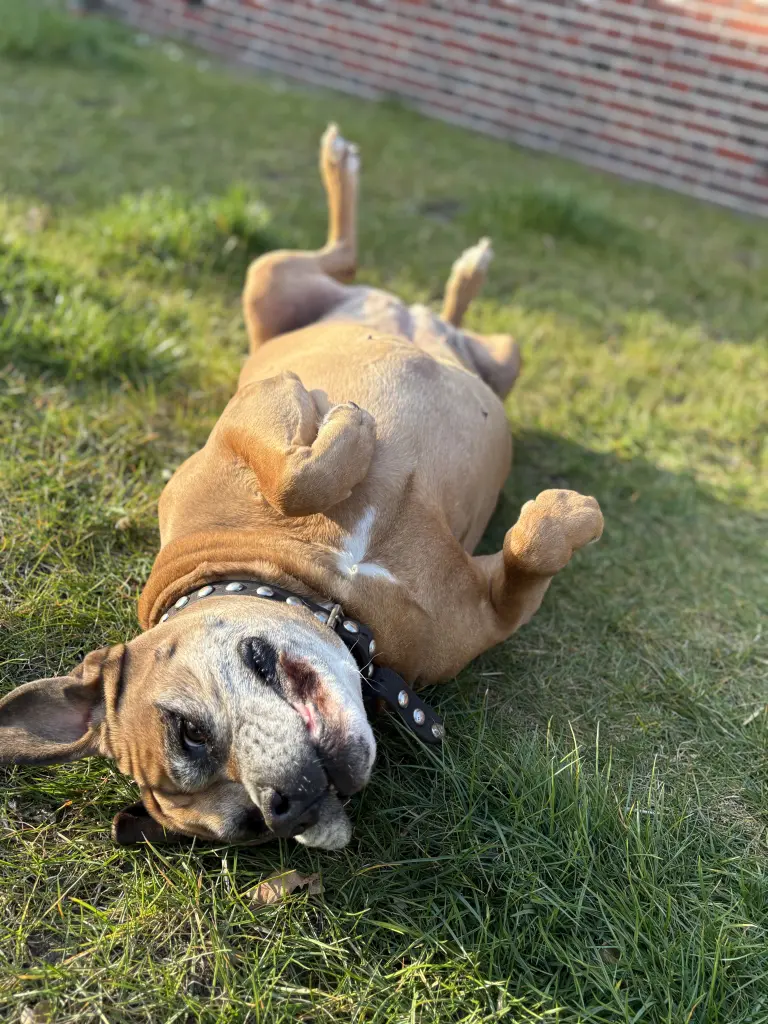 Condolence image of Inka Oeltjen