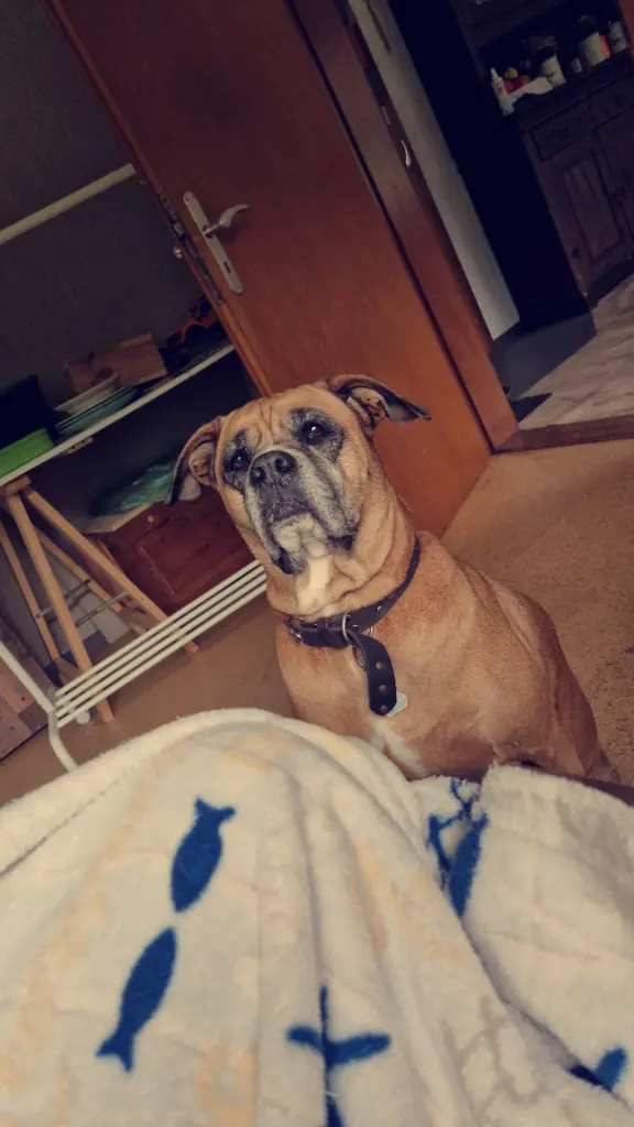 Condolence image of Tomke Oeltjen