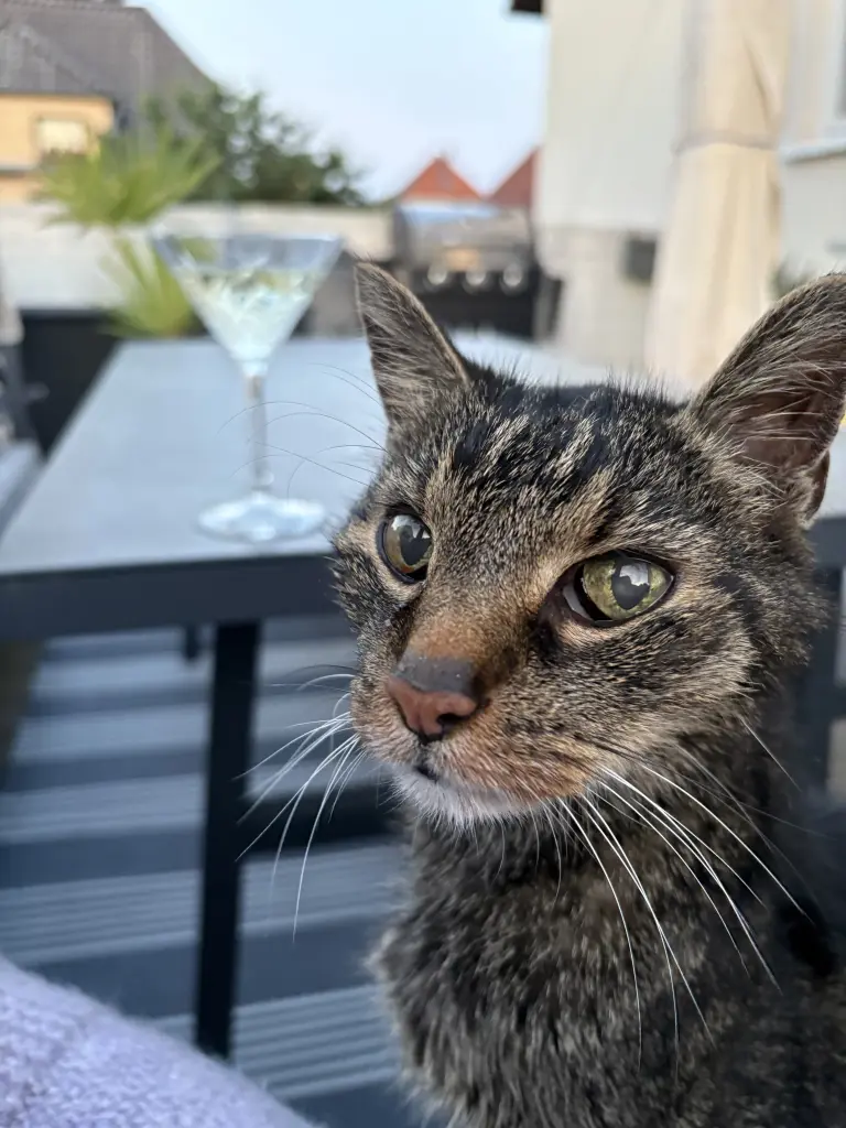 Mein ❤️