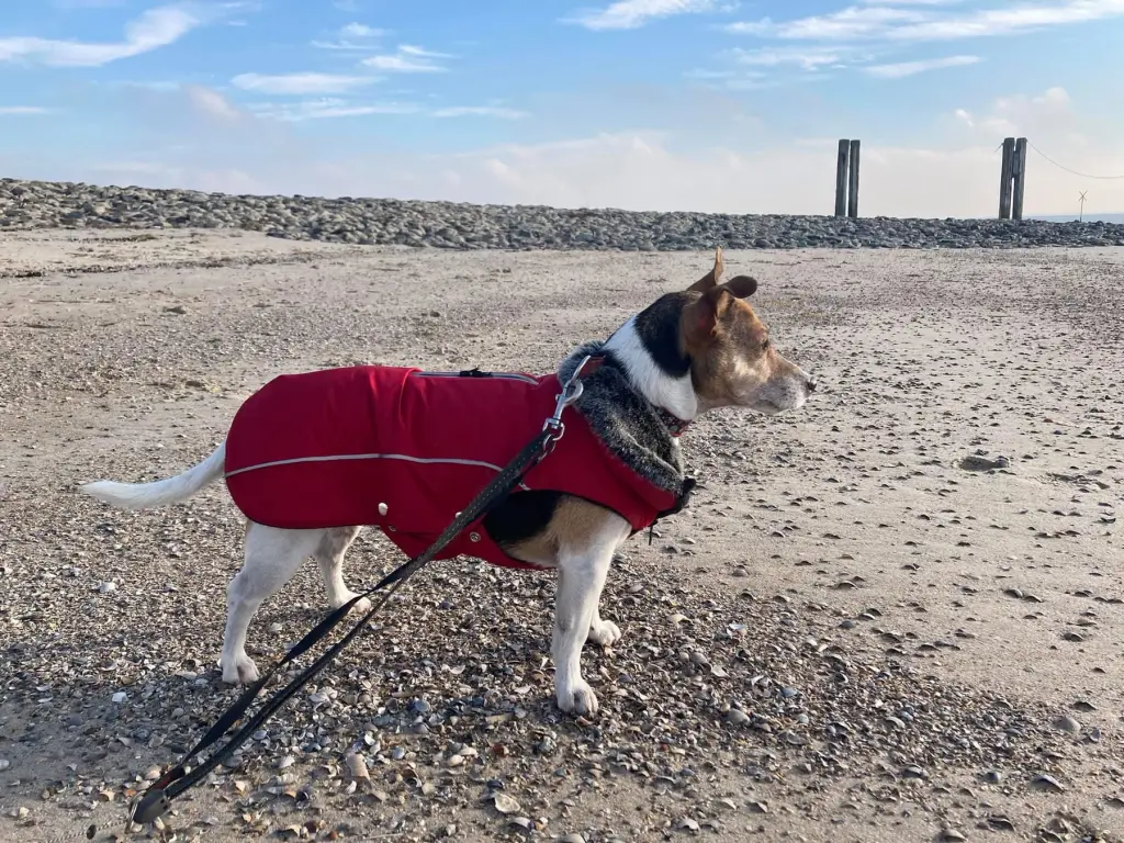 Condolence image of Daniela Korba