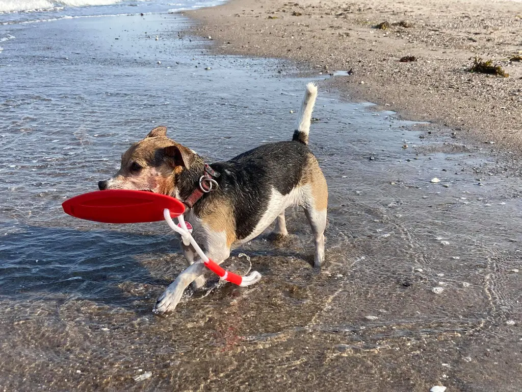 Condolence image of Daniela Korba