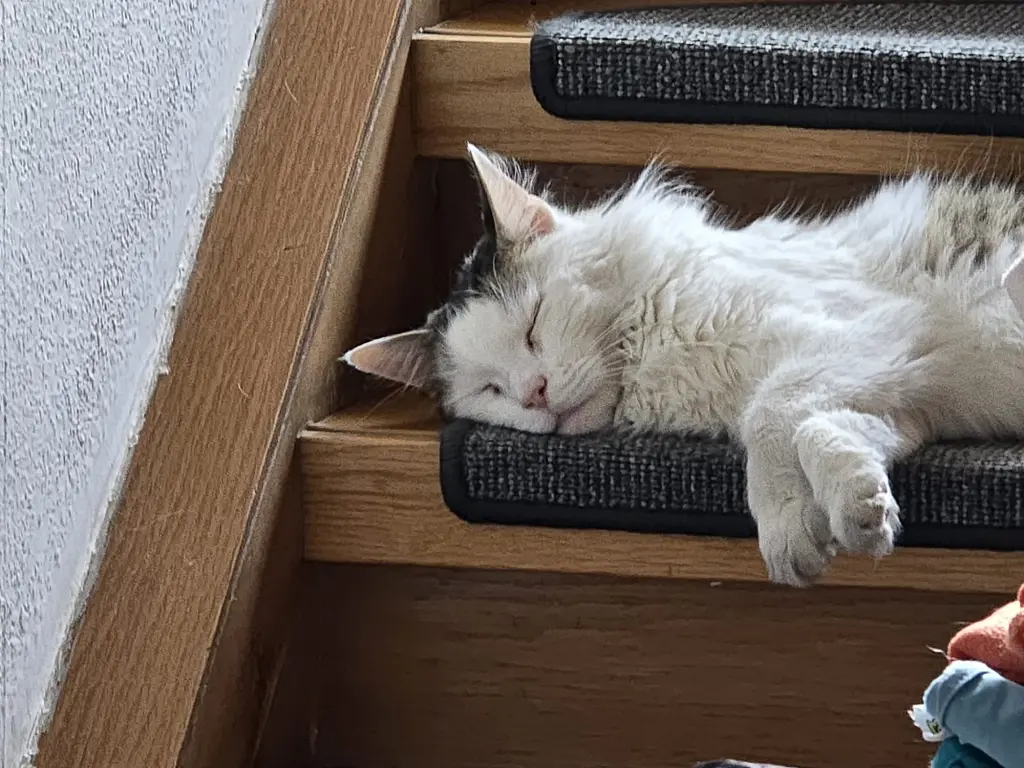 Condolence image of Sabine Prüß