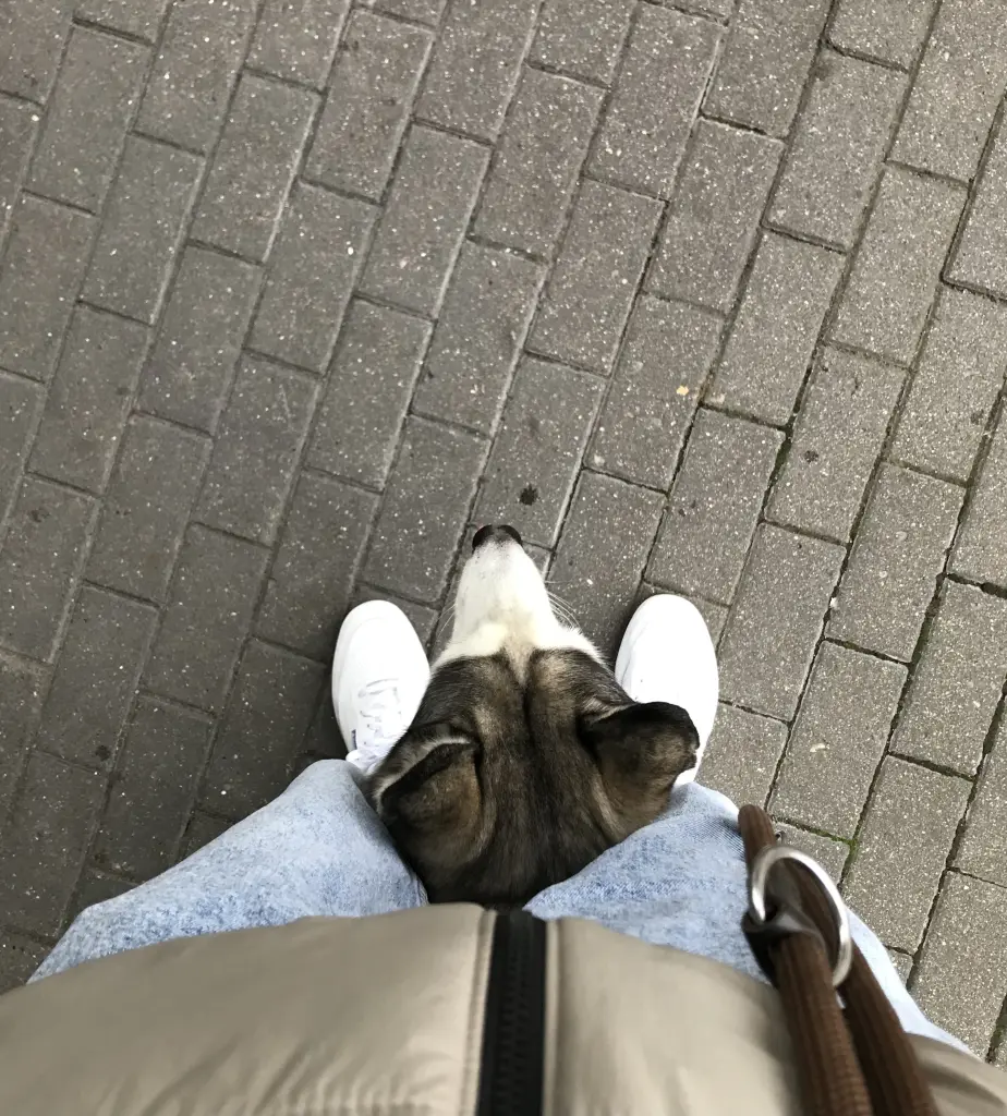 Condolence image of Chris Schmickler