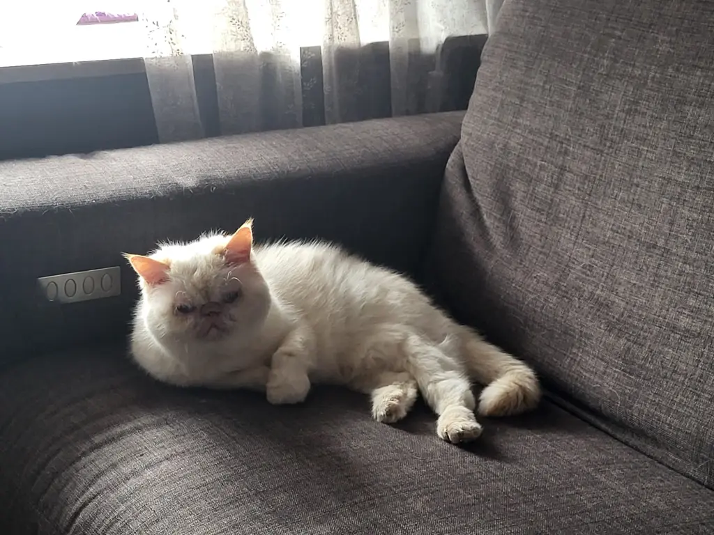 Condolence image of Andrea