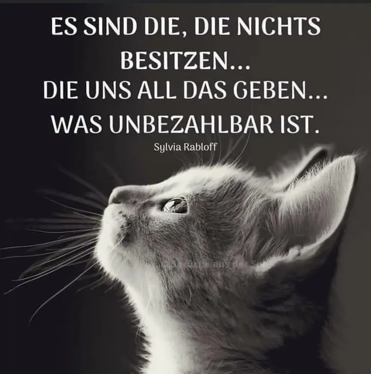 Condolence image of Sabine mit Otis&Ruffy im ♥️