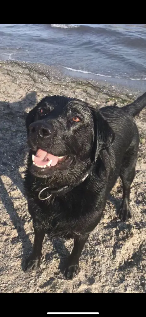 Condolence image of Joy Rohde