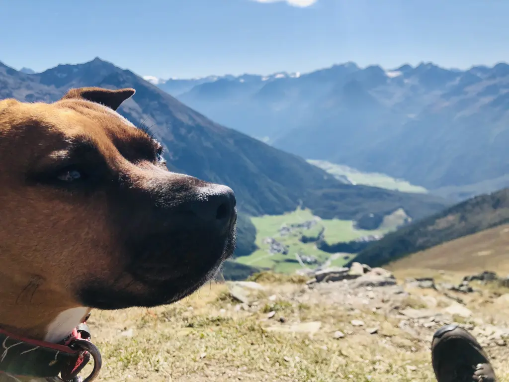 Condolence image of Martin