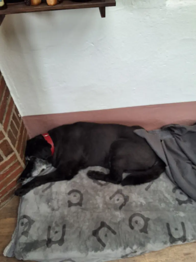 Condolence image of Ina