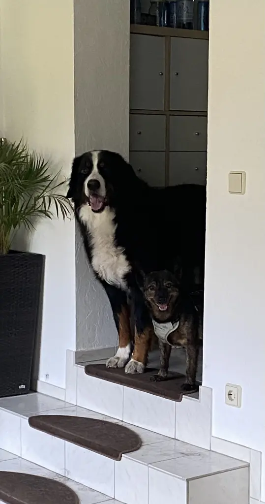 Condolence image of Silke Weißmann