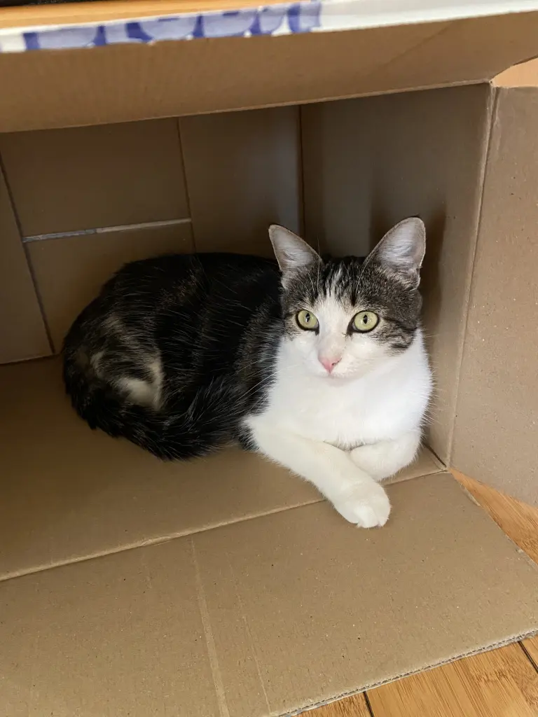 Condolence image of Roland Baustert