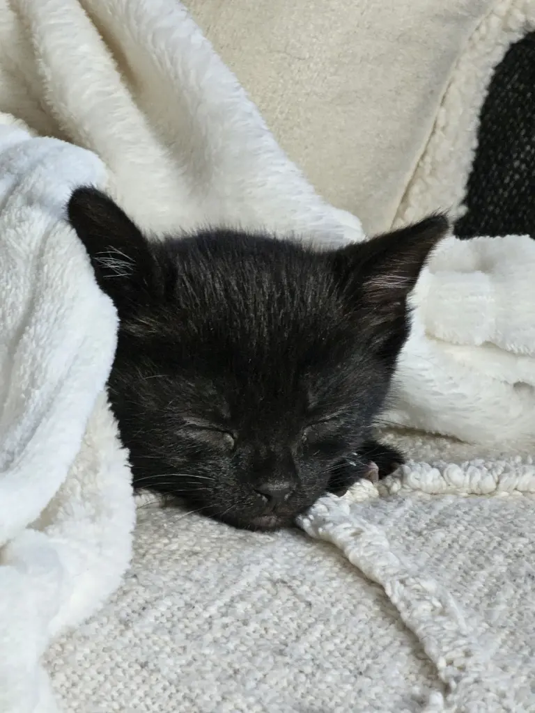 Andachtsbild von Sabine & Juri