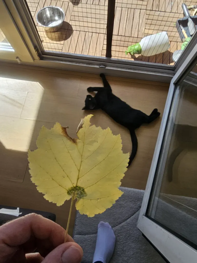 Andachtsbild von Sabine & Juri