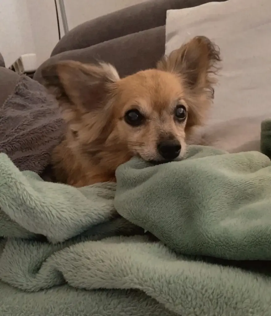 Condolence image of Alisha
