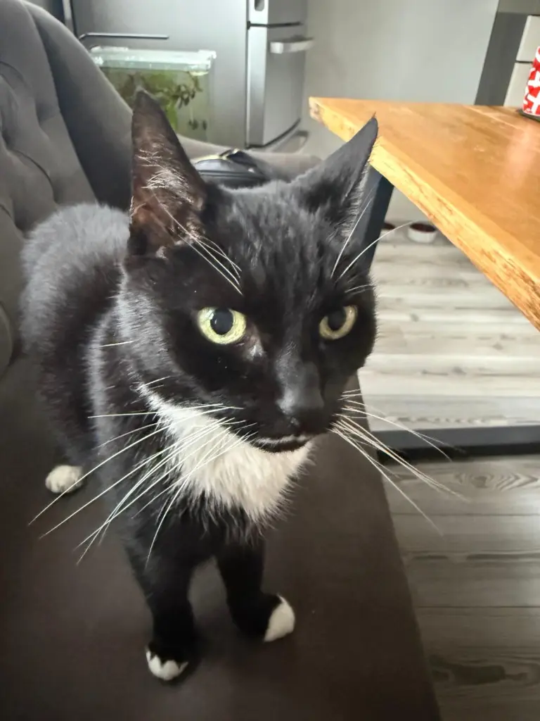 Condolence image of Anja Schubert