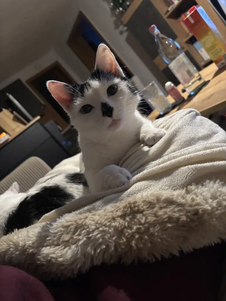 Image from Ahri