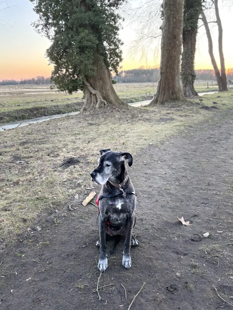 Condolence image of Victoria Schlewitt