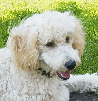 Condolence image of Hanna 
