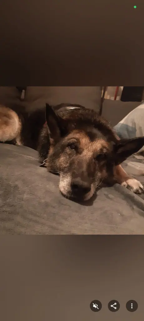 Condolence image of Sandra P