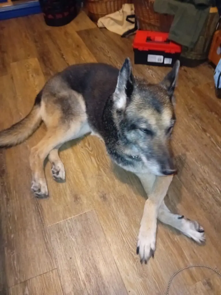 Condolence image of Christian Stenzel