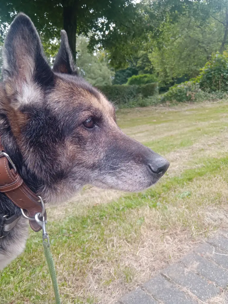 Condolence image of Hussein Yilmaz