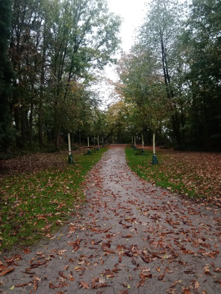 Condolence image of Mattes Chiara