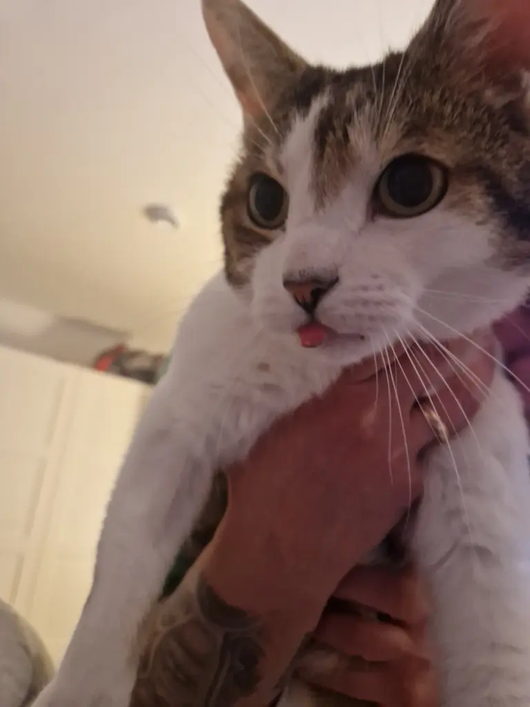 Condolence image of Sabrina R