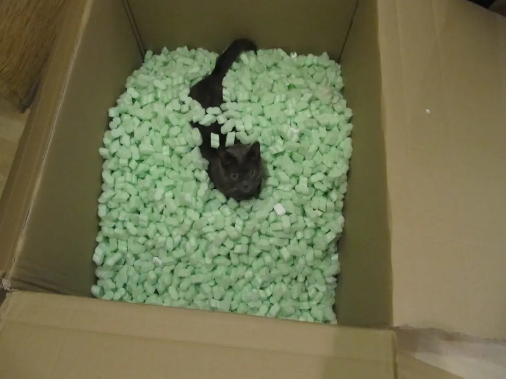 Image from Margarida - Peaches