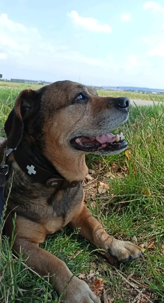 Condolence image of Stefanie Steinbach