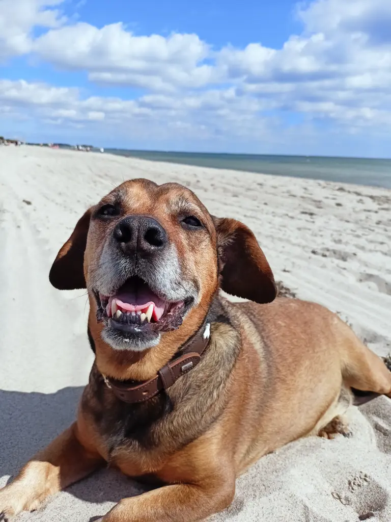 Condolence image of Stefanie Steinbach