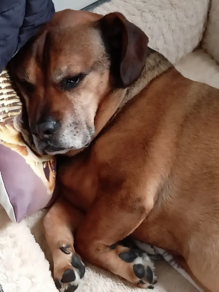 Condolence image of Stefanie Steinbach