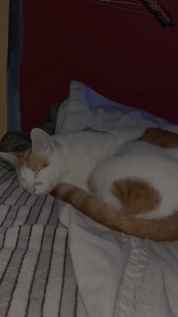 Bild von Willy