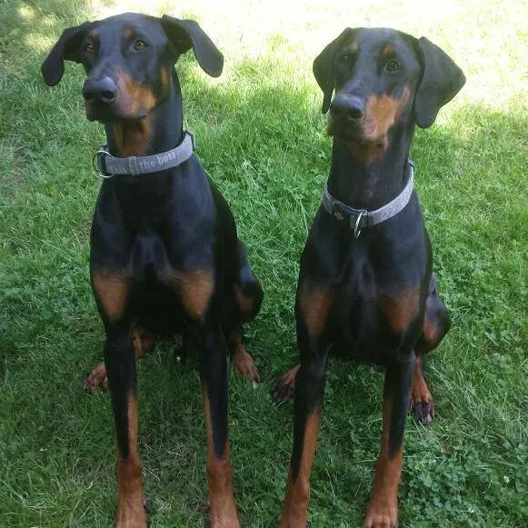 Bild von Isa