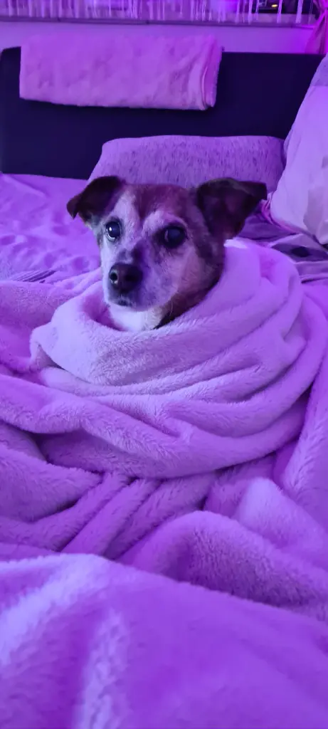 Condolence image of Nadine Schulz