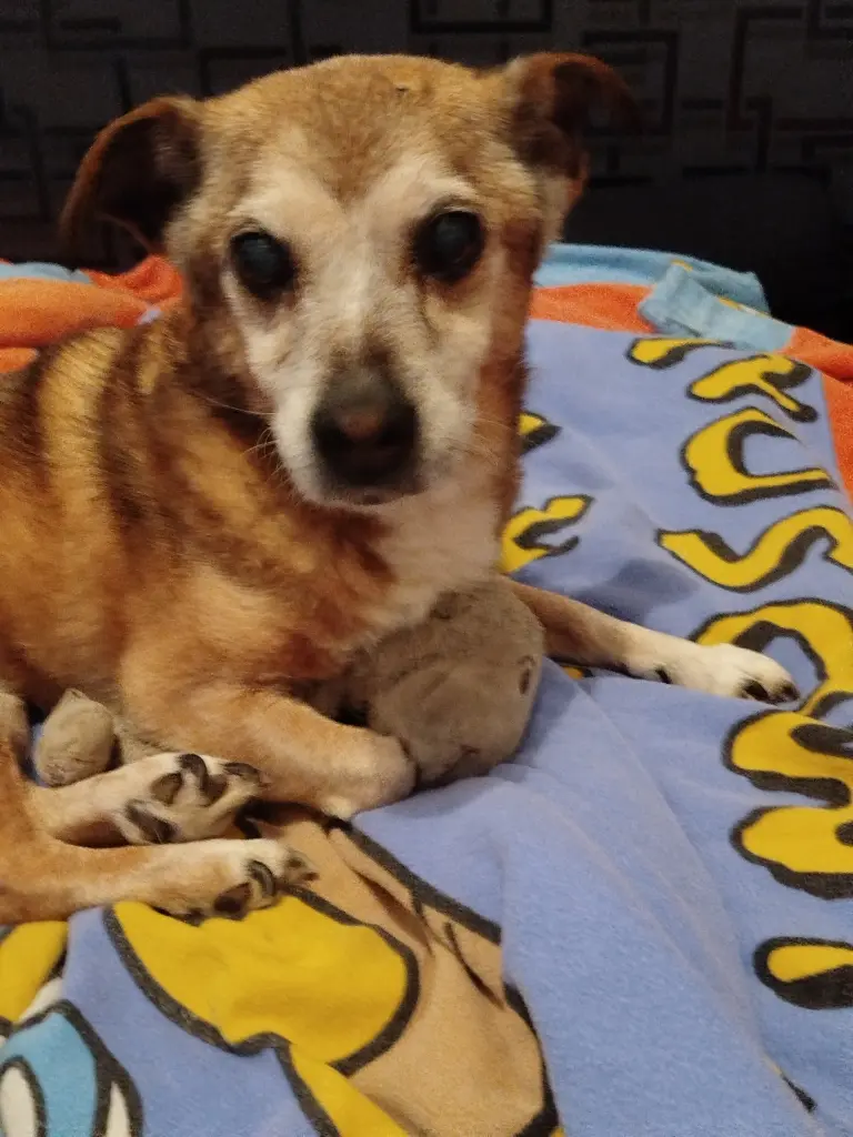 Condolence image of Darren Schulz