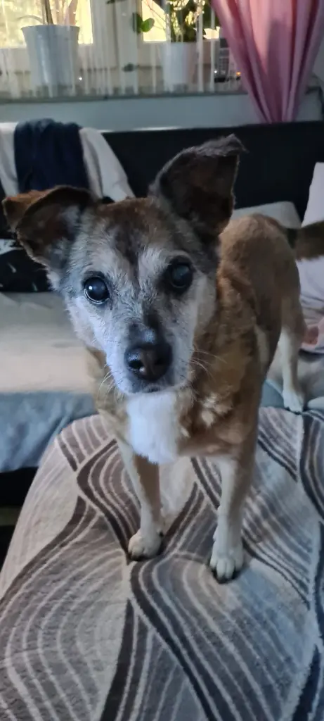 Spaß an allem und mit jedem