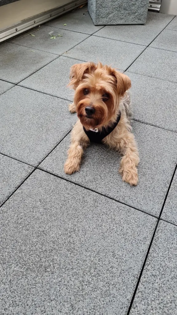 Condolence image of Bettina