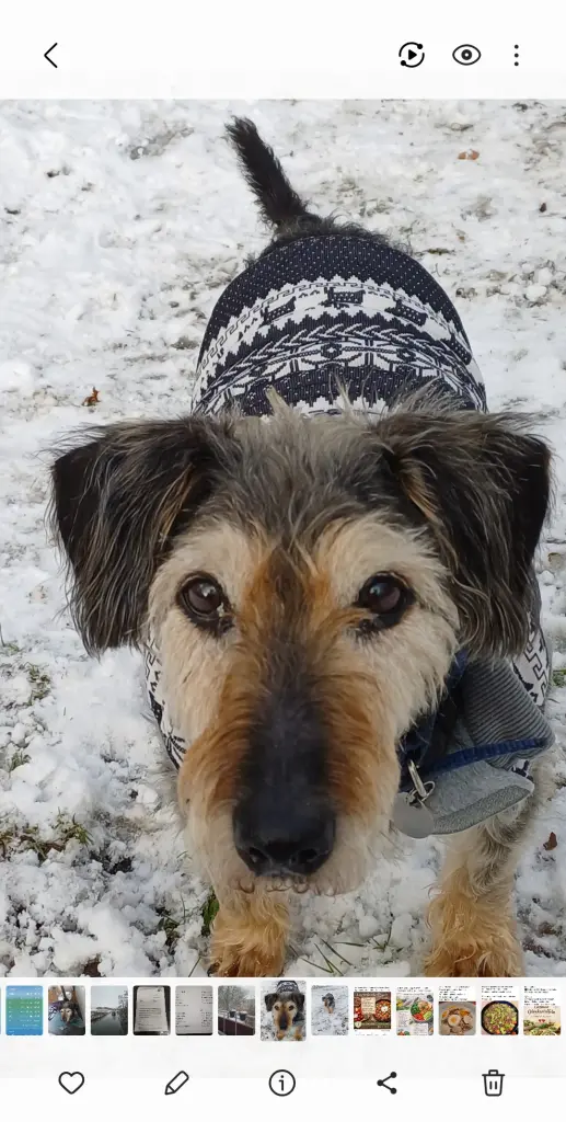 Condolence image of Petra Huhmann