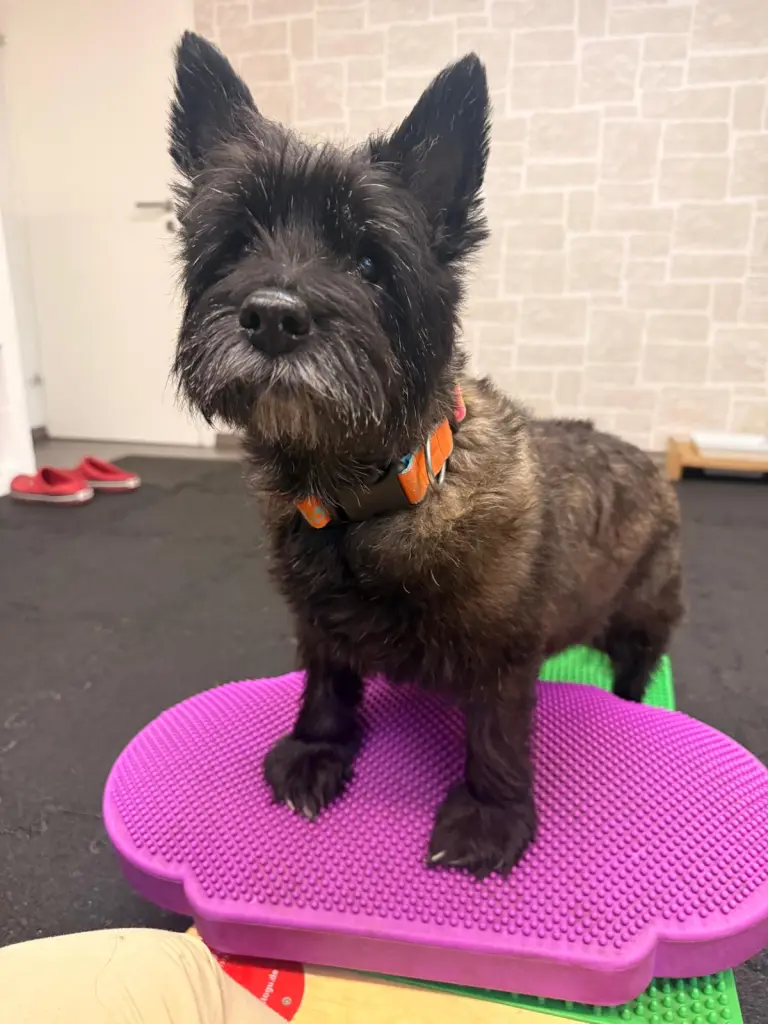 Condolence image of Barbara und Frank Kirsch