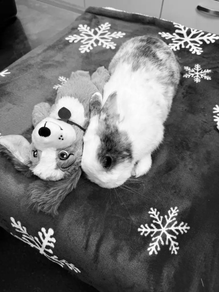 Condolence image of Yvonne Berndt