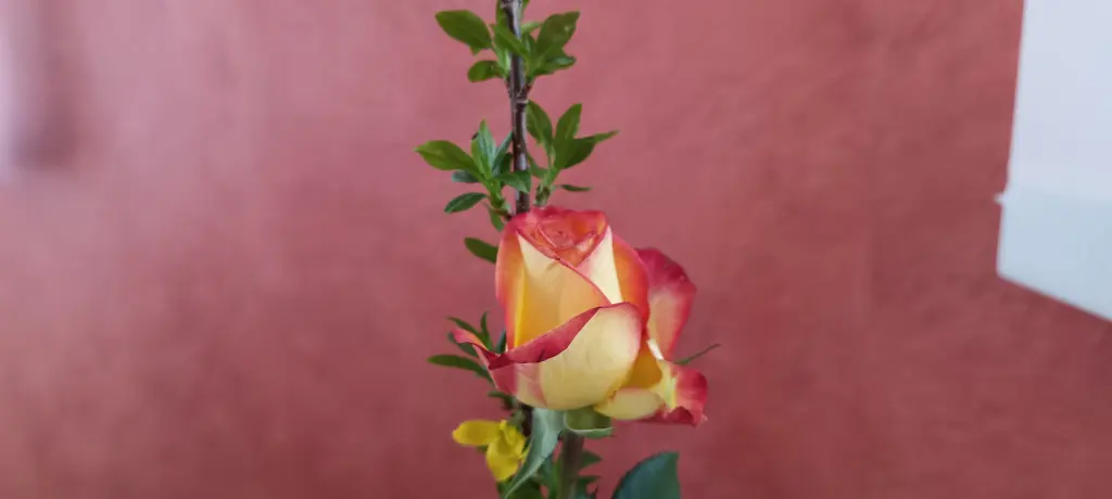 Andachtsbild von Manfred Rauch