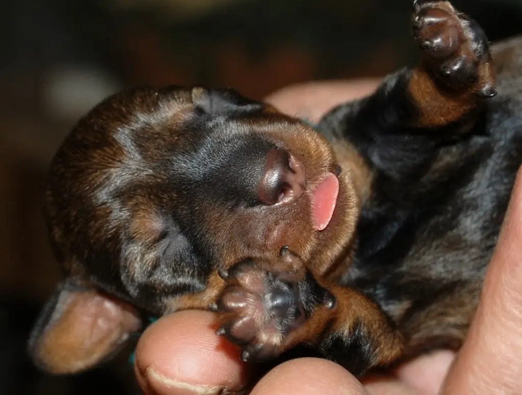 Condolence image of Erika & Heino