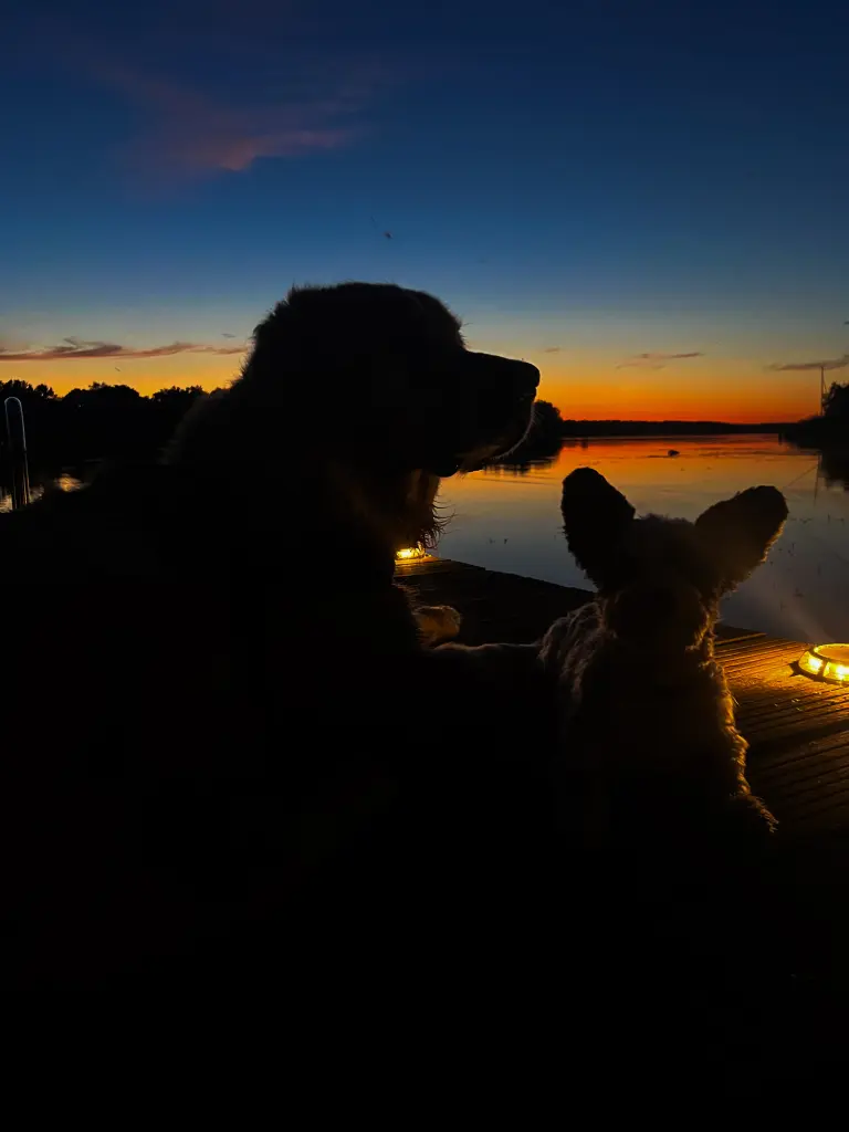 Condolence image of Olaf