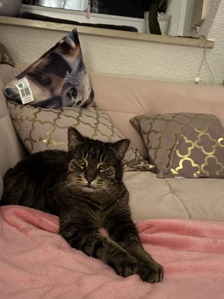 Sein süßes Gesicht