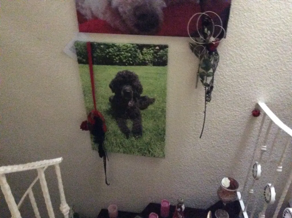 Andachtsbild von Heidelore 