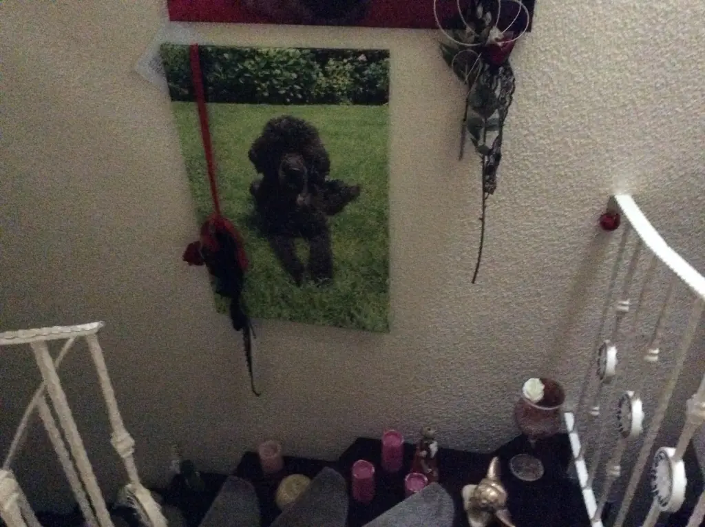 Andachtsbild von Heidelore 