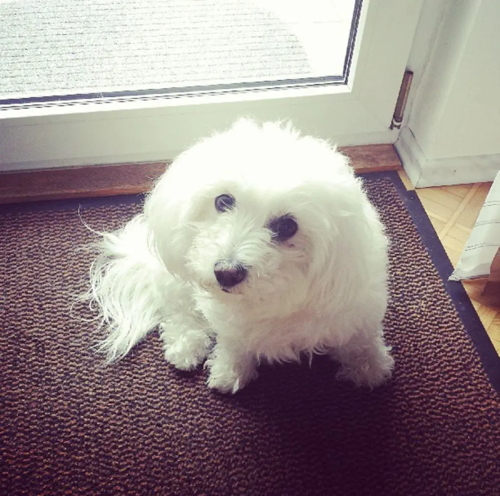 Andachtsbild von Manuela mit Engel Jane