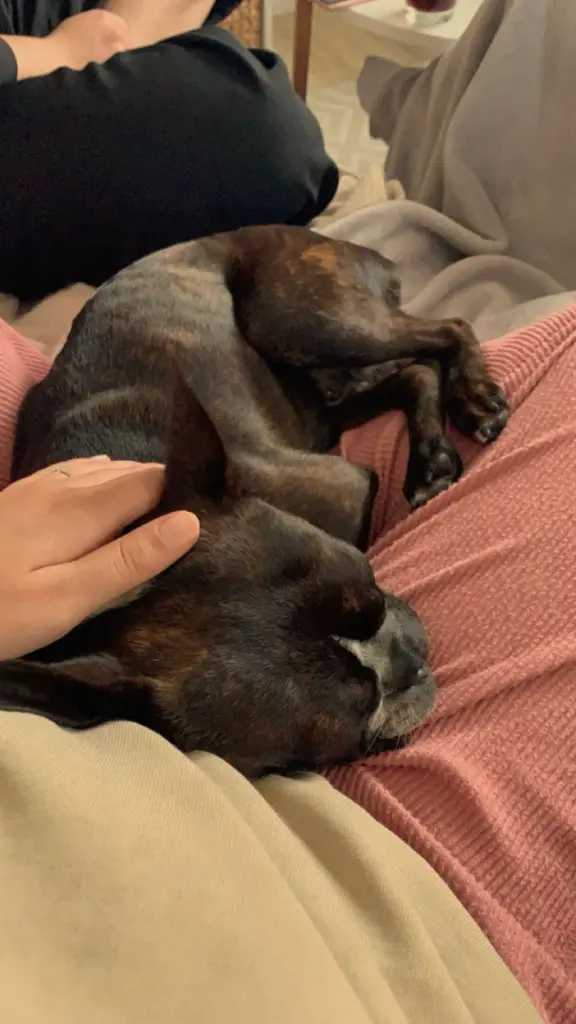 Condolence image of Finja