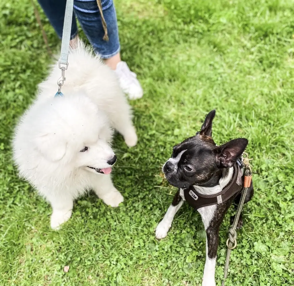 Condolence image of Steffi